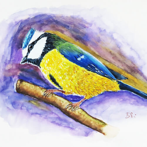 festés akvarell madár