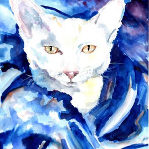 Cica festése akvarellel