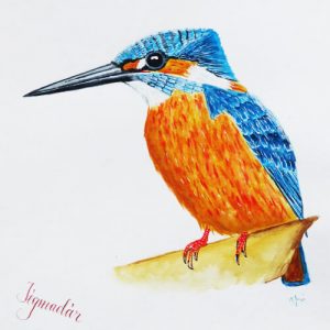 Jégmadár festése akvarellel