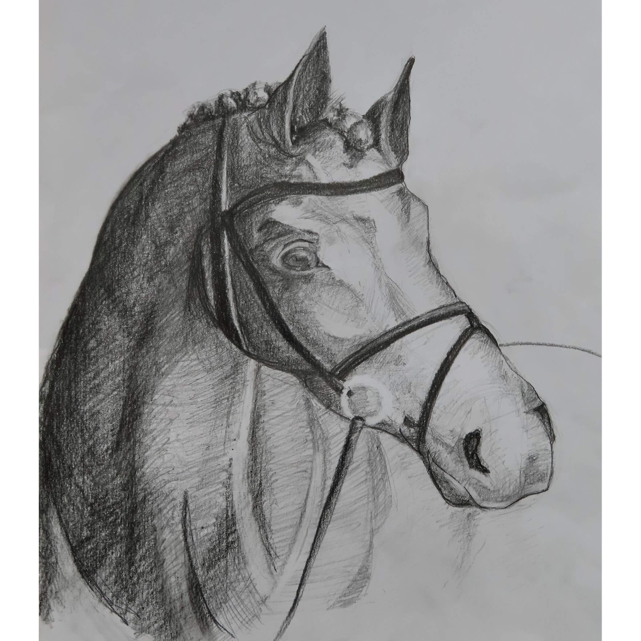 Grafiklub rajzolás és festés éves előfizetés - Image 2