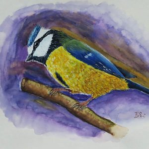 Kék cinege festése vegyes technikával