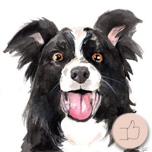 Kutya festése akvarellel