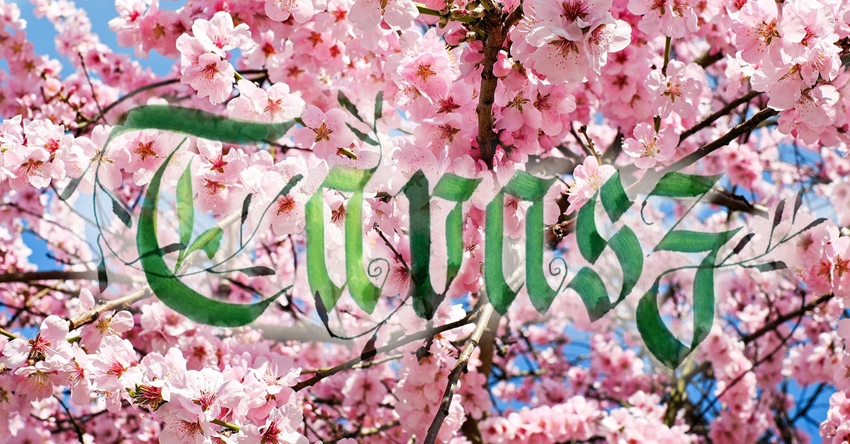 tavaszi kép és fraktúr kalligráf felirat