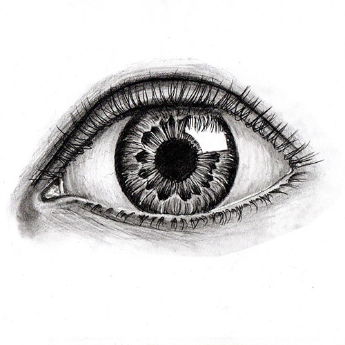 Grafiklub rajzolás és festés éves előfizetés - Image 4